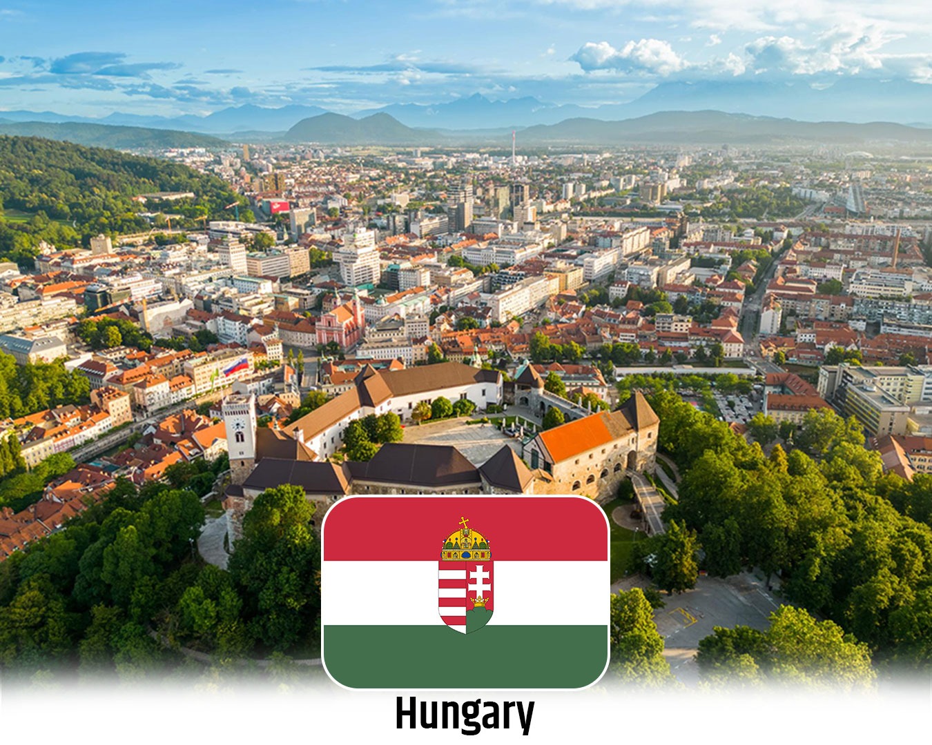 WhatsApp Image 2025-07-07 at 16.41.51 (1)