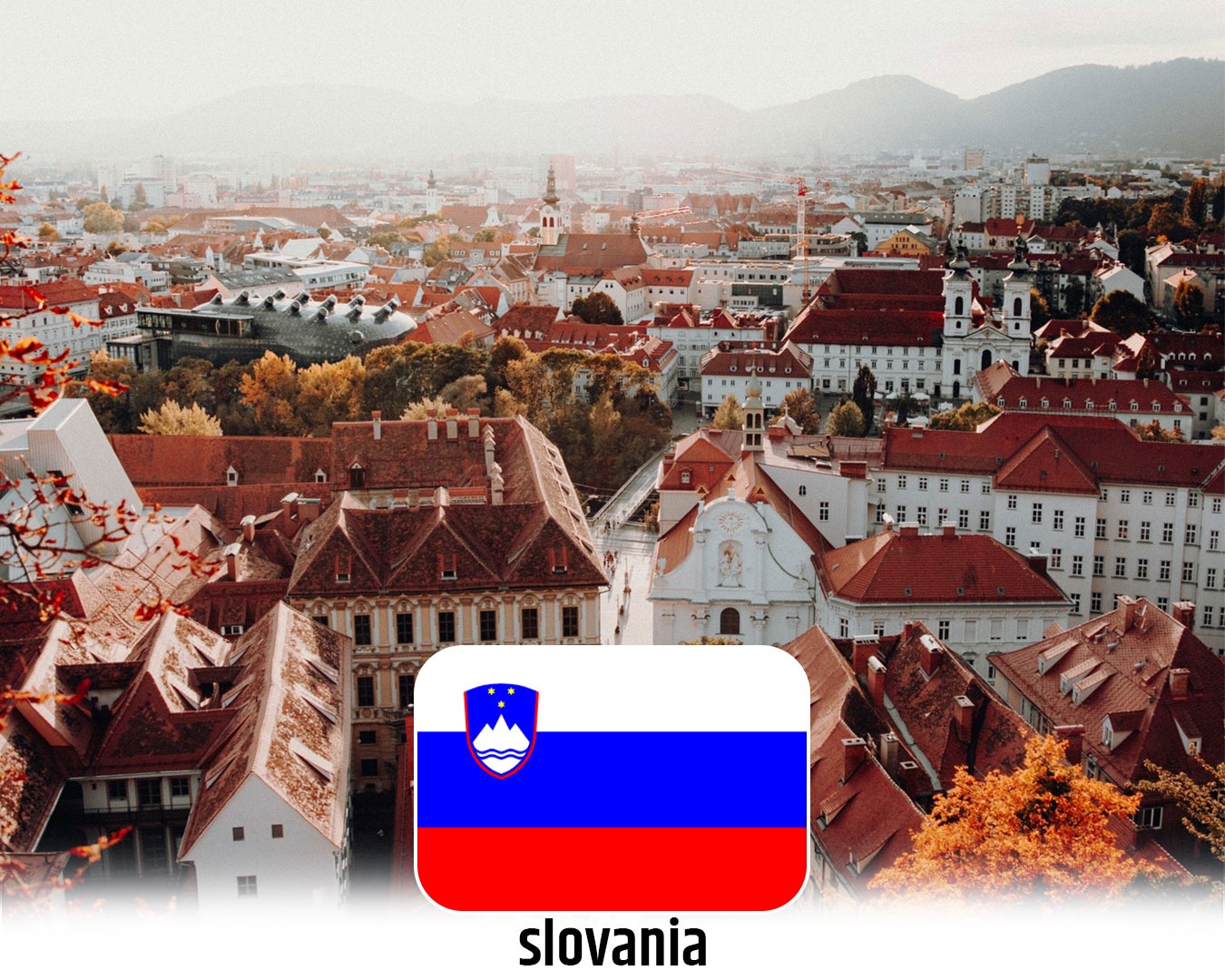 WhatsApp Image 2025-07-07 at 16.44.46